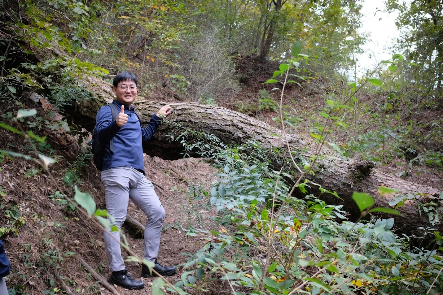 Hiking at Goesan Trail 7
